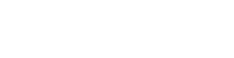 ford-logo-blanco-6